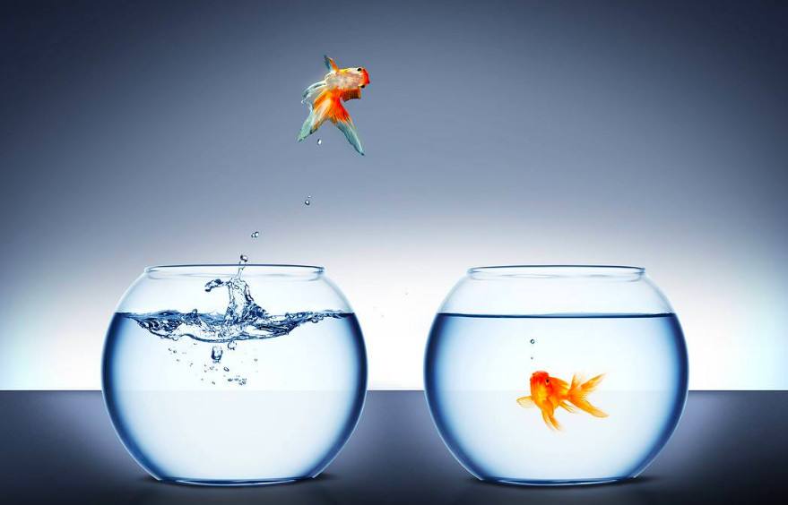 1591258471242884.jpg 告別舒適區(qū).jpg